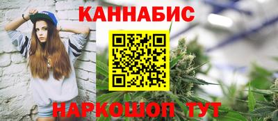 крисы Краснодар