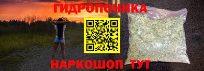 крисы Краснодар