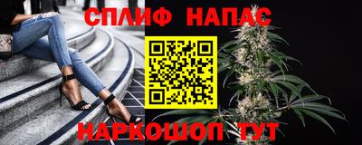 крисы Краснодар