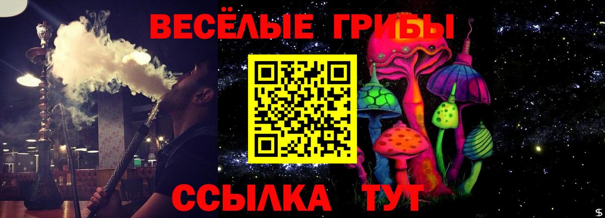Арсеньев  Галлюциногенные грибы ЛСД  Галлюциногенные грибы прущие грибы  Вход с VPN 