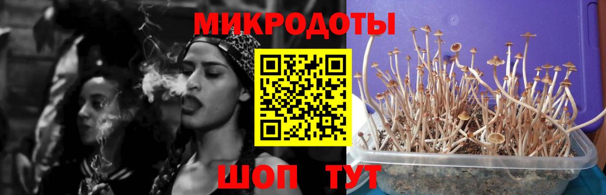 Псилоцибиновые грибы Magic Shrooms Арсеньев